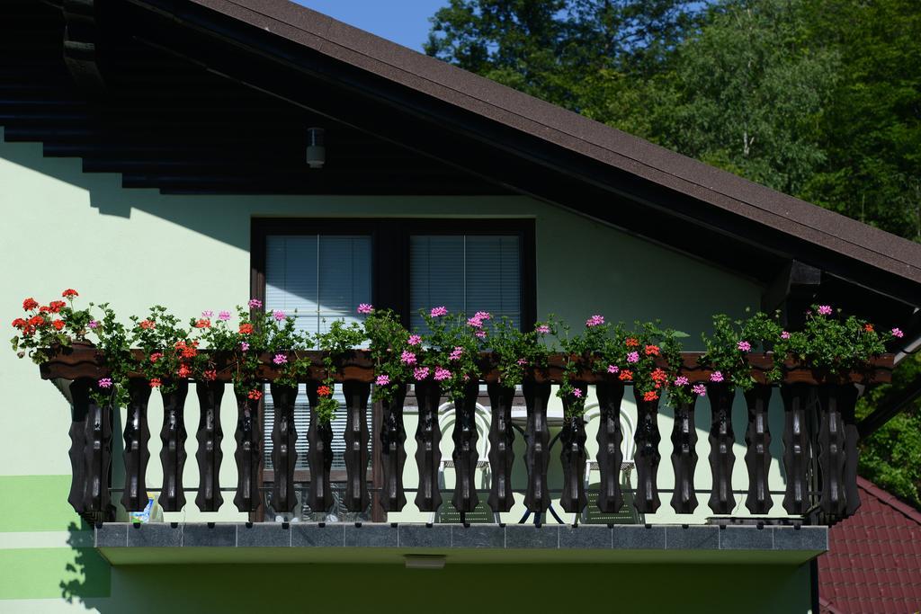 Zeleni Apartma Zrece Zreče Exterior foto